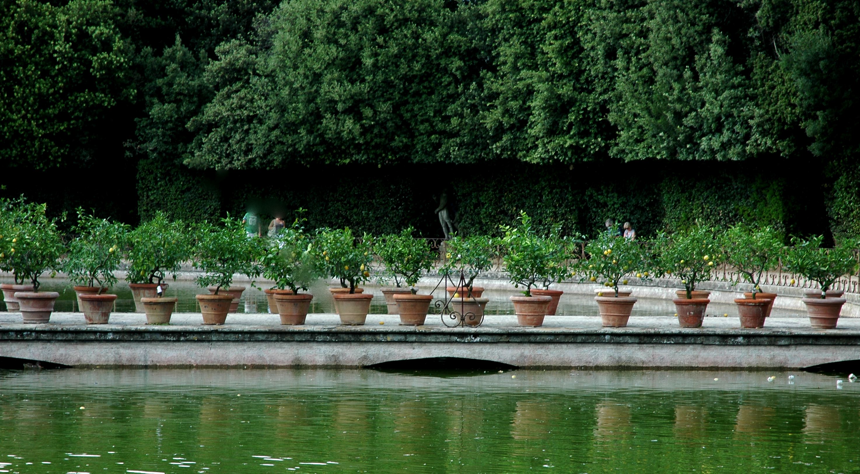 boboli.jpg