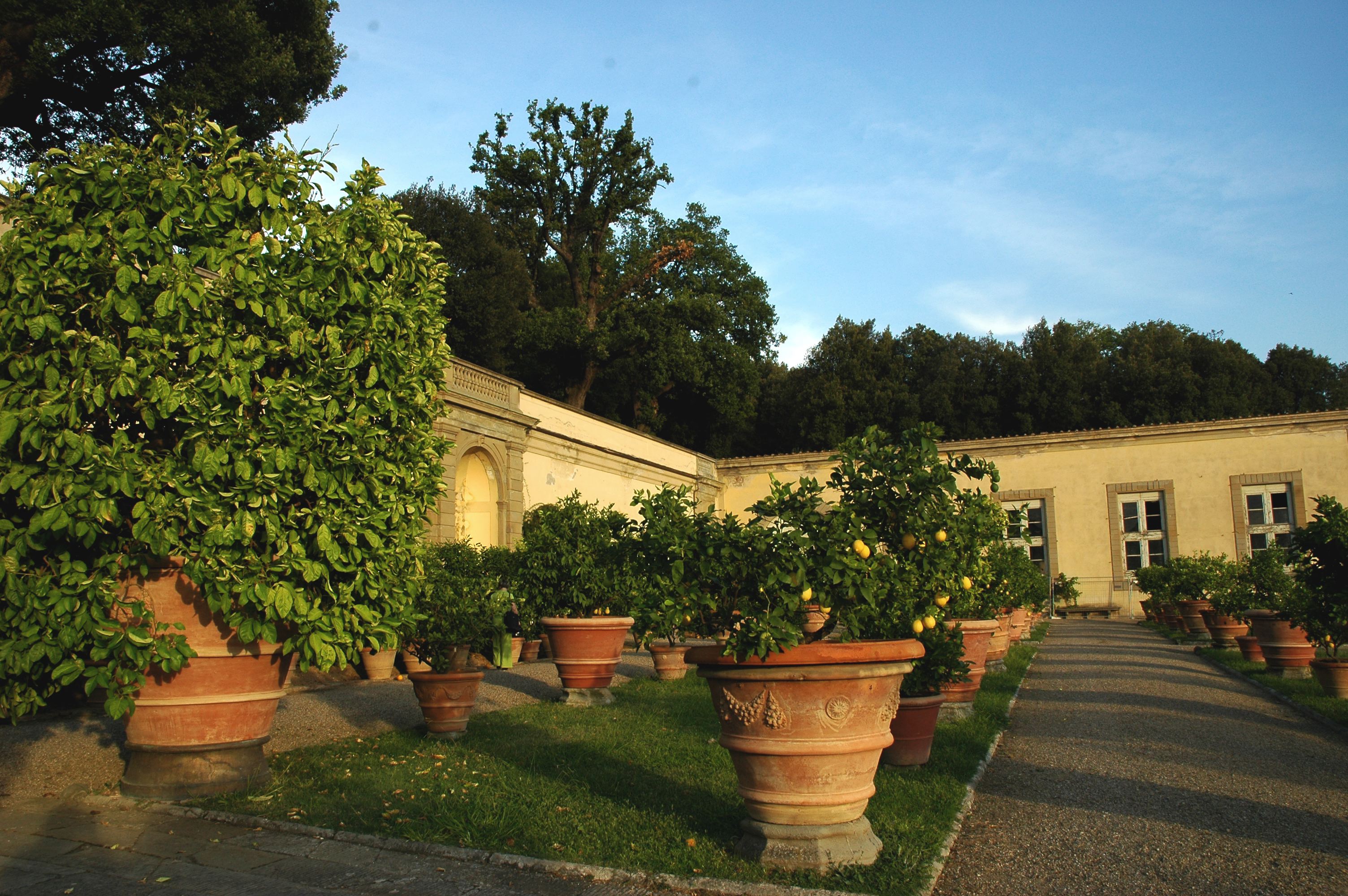 castello_3.jpg